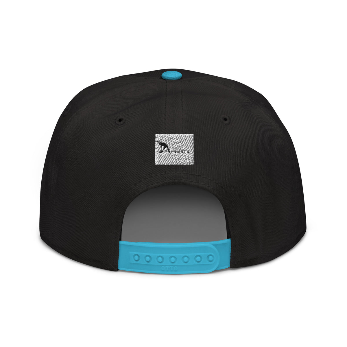Snapback Hat