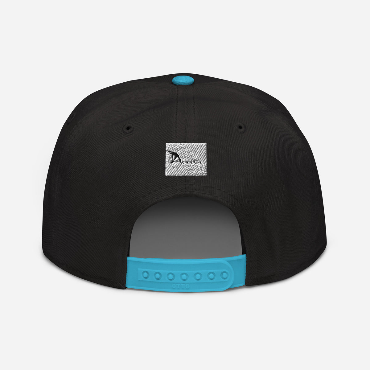 Snapback Hat